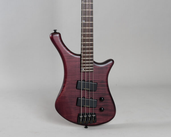 Alternative view of Slick Bass